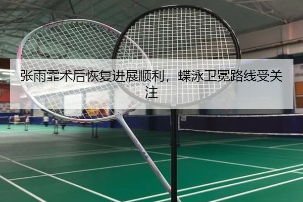 张雨霏术后恢复进展顺利，蝶泳卫冕路线受关注